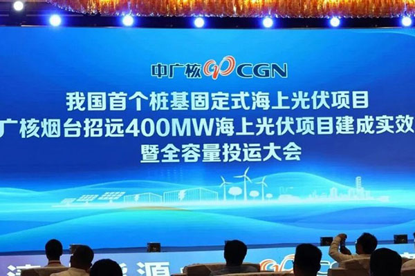 青岛武晓集团助力我国首个桩基固定式海上光伏项目成功建成投运