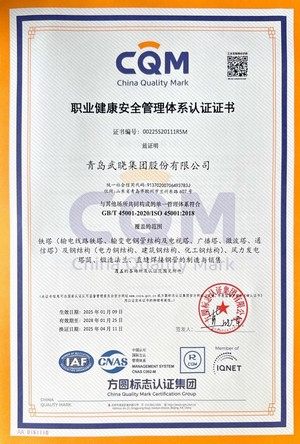 1.10职业健康安全管理体系认证证书