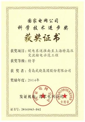国家电网科学技术进步奖特等奖