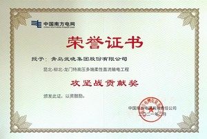 中国南方电网攻坚战贡献奖