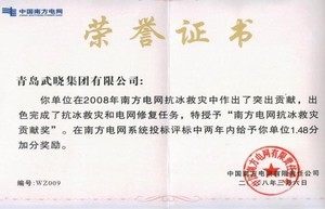 南方电网抗冰救灾贡献奖