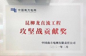 中国南方电网攻坚战贡献奖